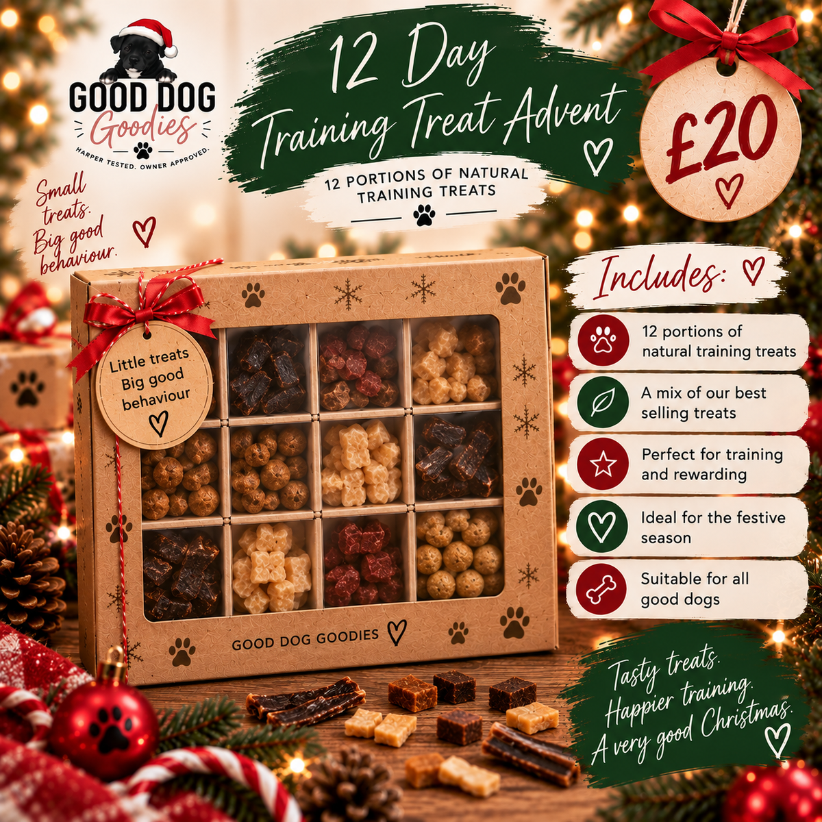 12 Day Training Treat Advent