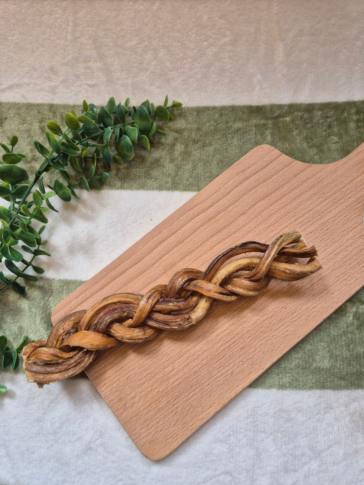 Braided Pizzle 24cm