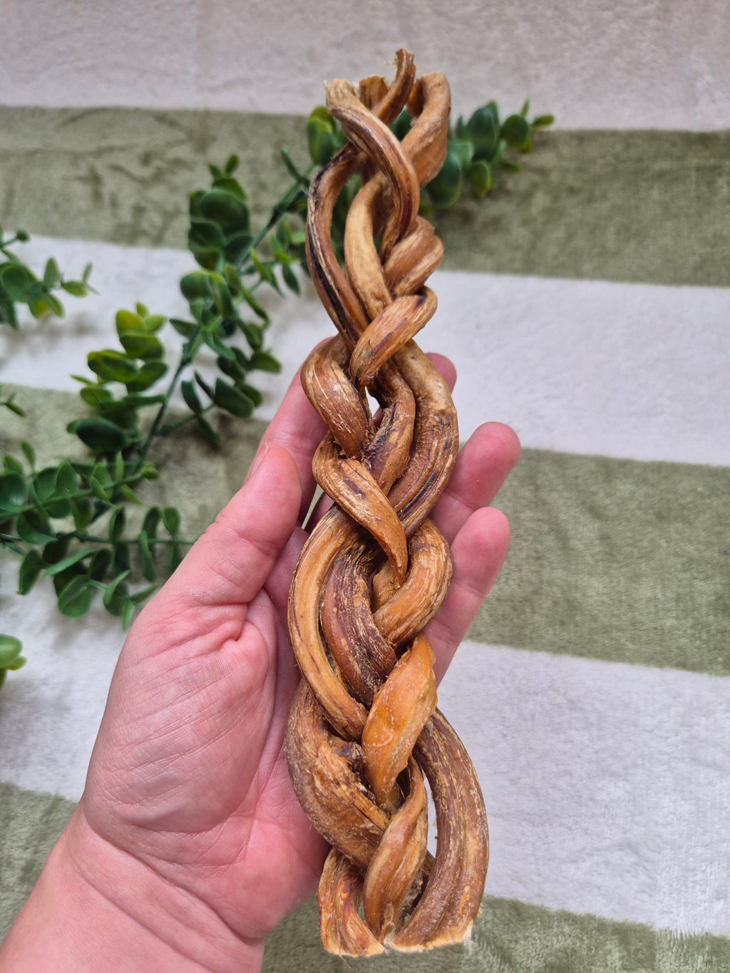 Braided Pizzle 24cm