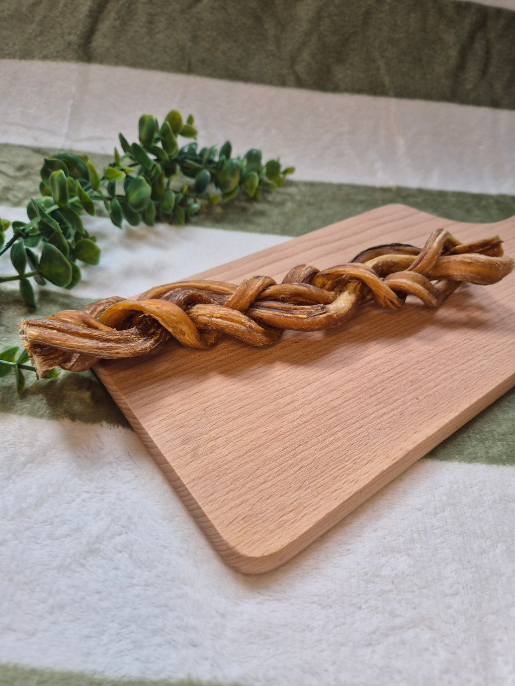 Braided Pizzle 24cm