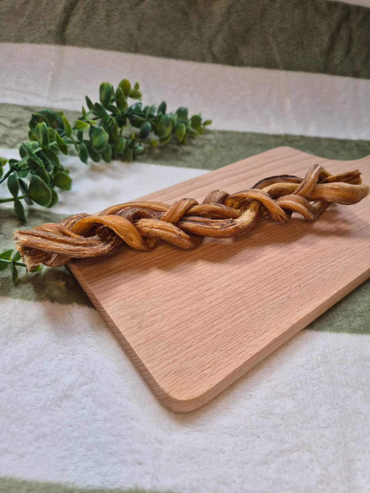 Braided Pizzle 24cm