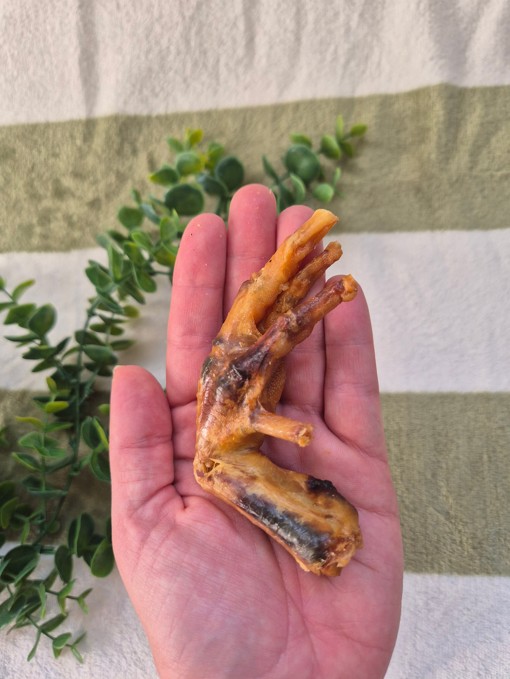 Chicken Feet - 10 pack