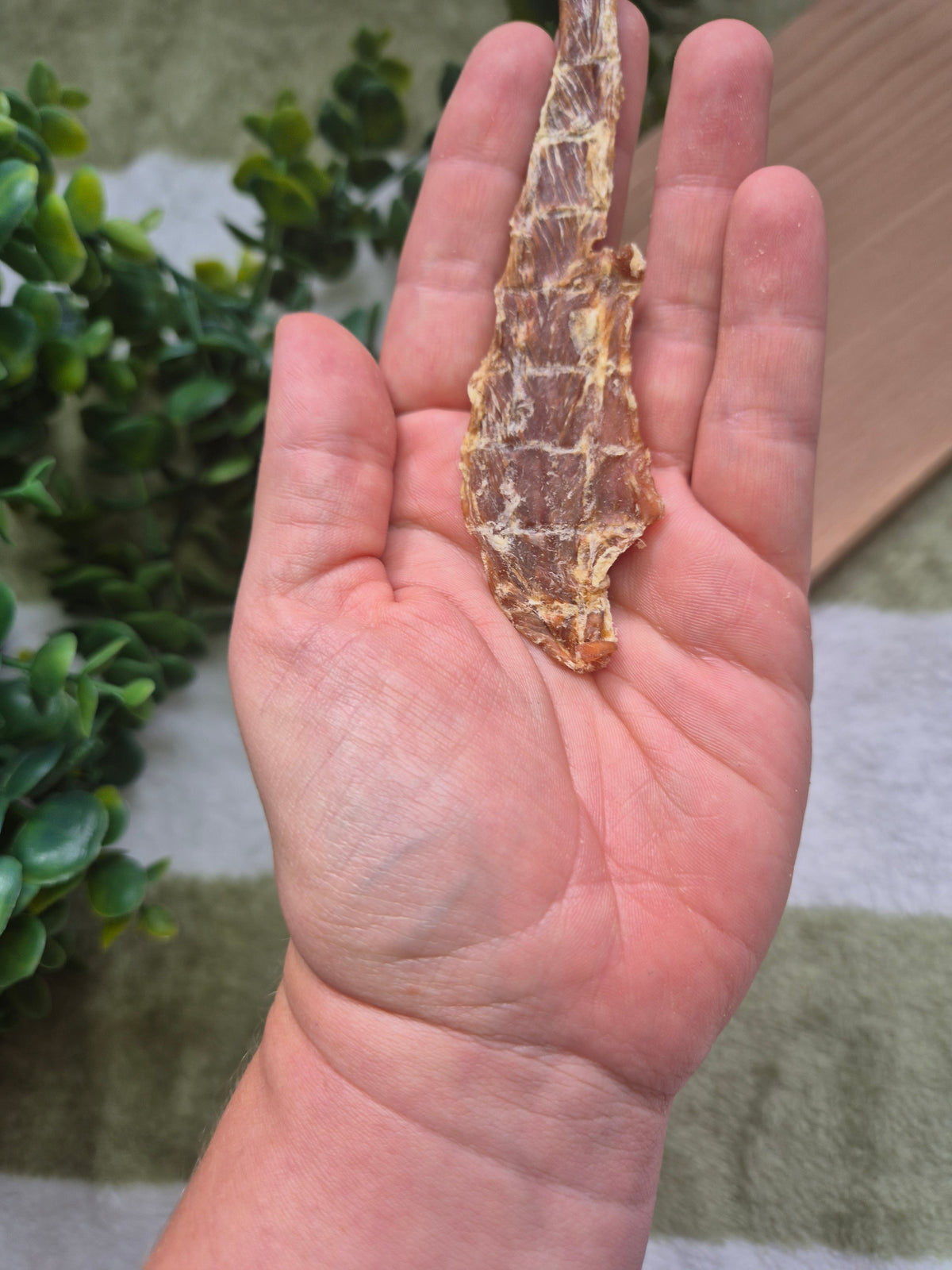Duck Jerky - 60g