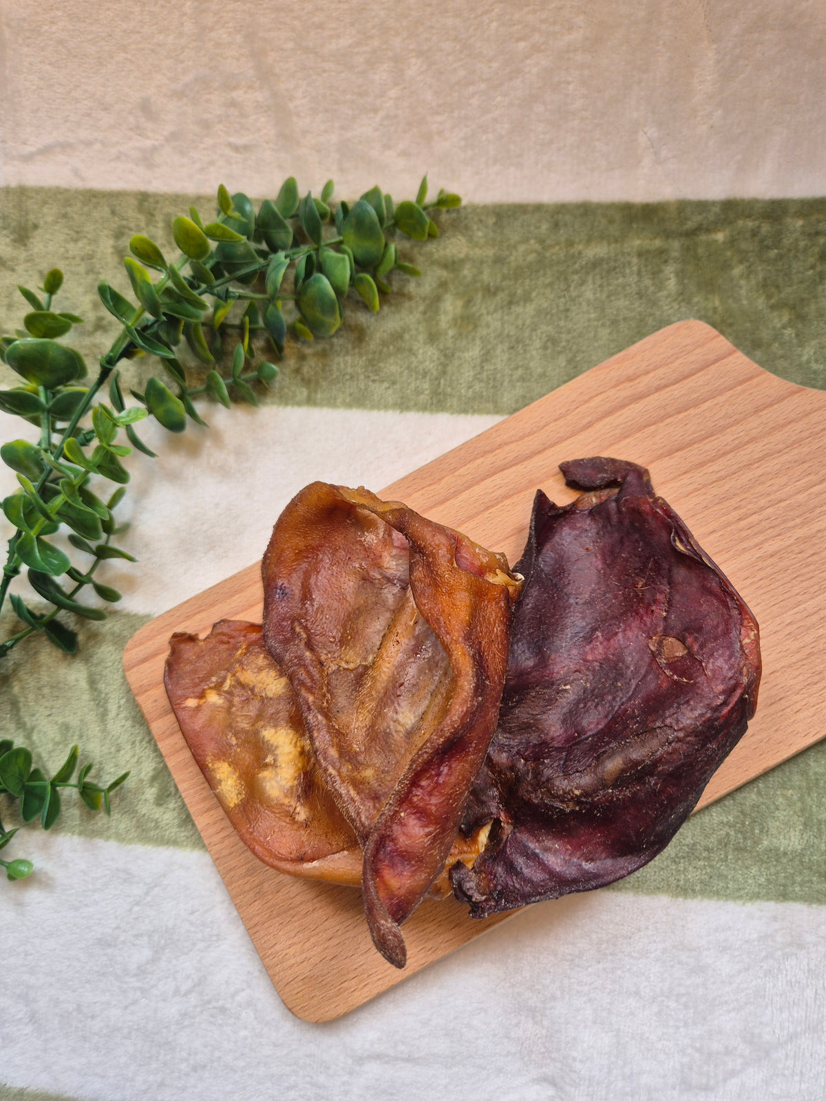 Large Pigs Ear