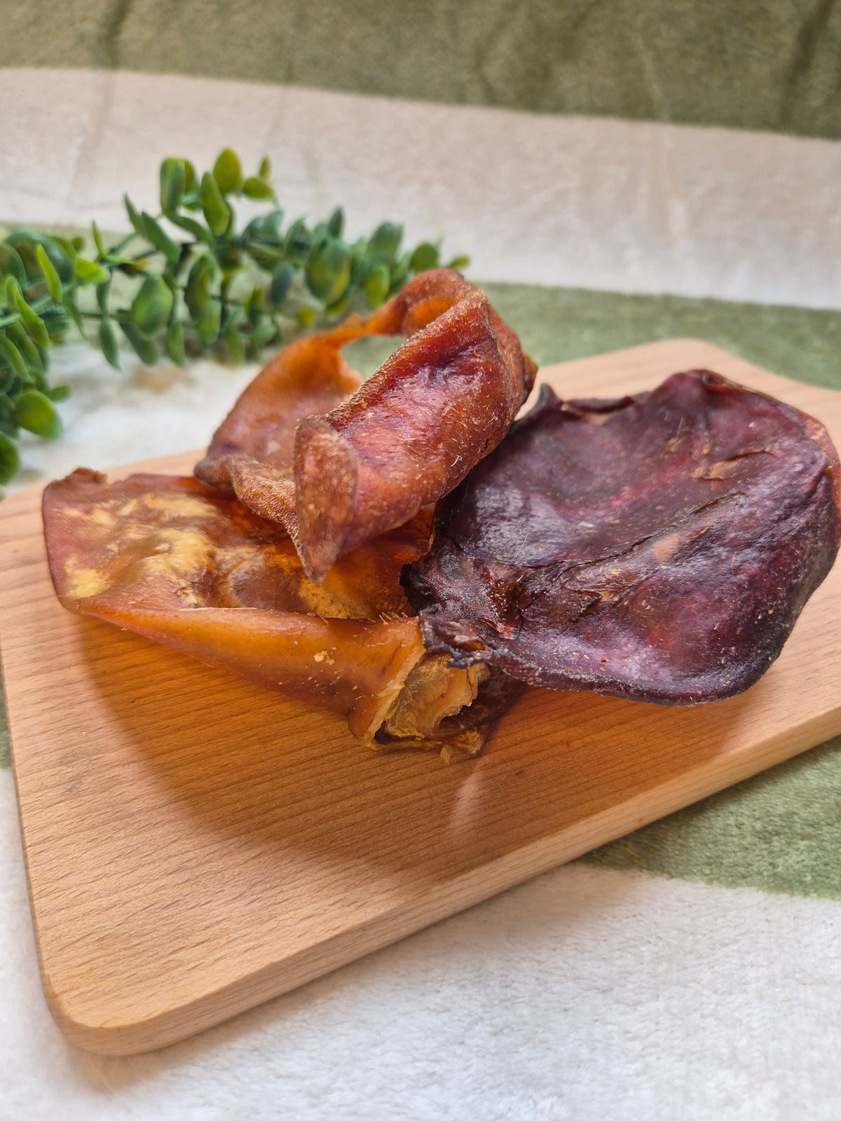 Large Pigs Ear