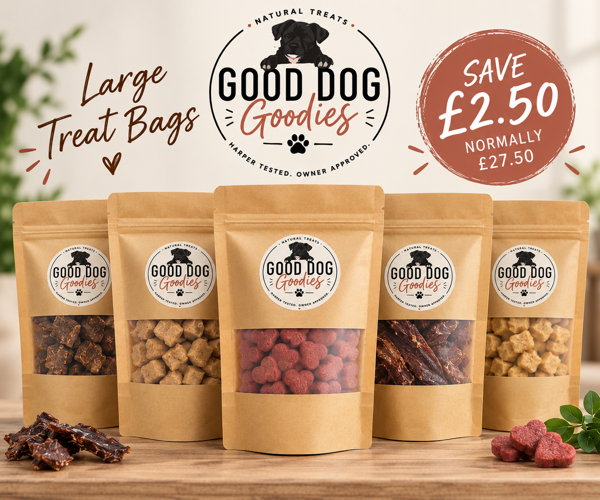 Treat bag Pick & Mix – 5 Large Bags for £25